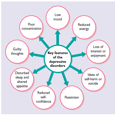 key features of depressive disorders